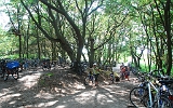 Der "einsame" Weststrand am Darß. In der Urlaubszeit frequentieren viele Cycler den Strand.
