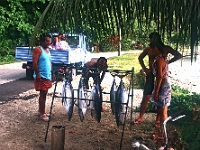 Fischhändler auf Huhaine (Fishmonger) : Transporter, Tunfisch, Verkäufer