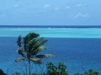 Insel Huhaine : Palme, Meer, türkis
