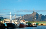 Im Fischerhafen von Höfn an der Ostküste von Island.
